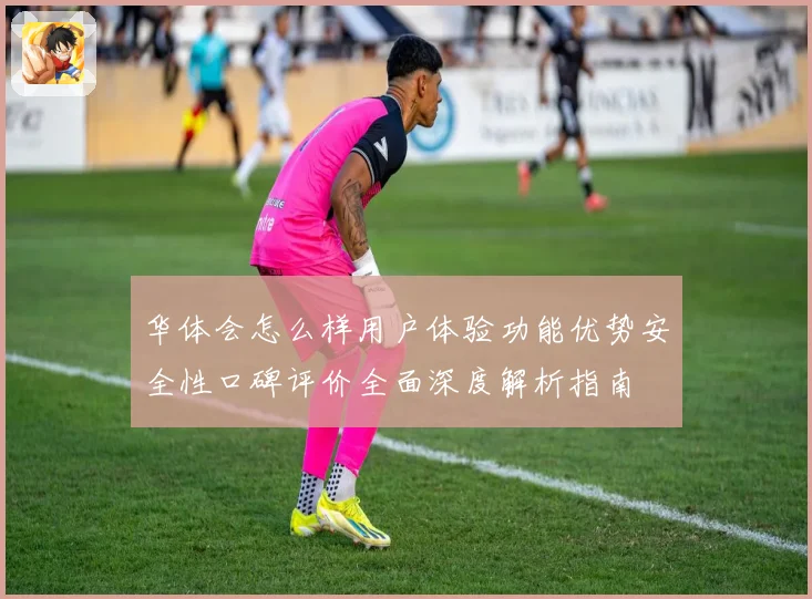 华体会怎么样用户体验功能优势安全性口碑评价全面深度解析指南