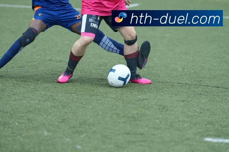 华体会平台展示图